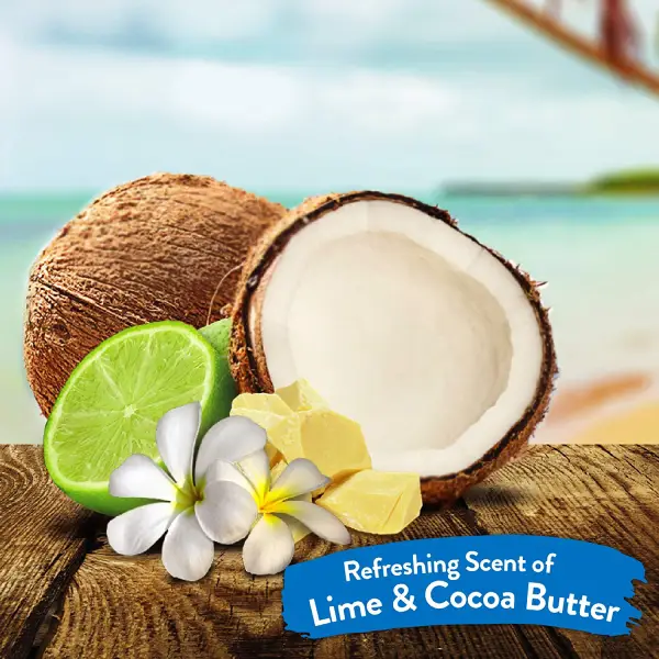 TropiClean Lime & Cocoa Butter DeShedding Pet Conditioner TropiClean Lime & Cocoa Butter DeShedding Pet Conditioner