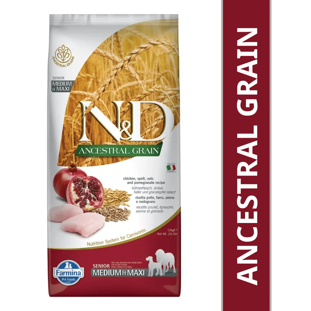 Ansectral Grain - 01-11-2025
