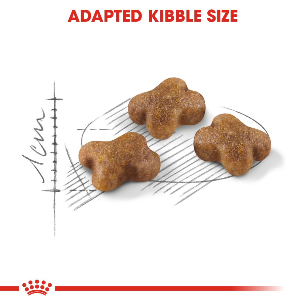 Royal Canin Second Age Dry Kitten Food