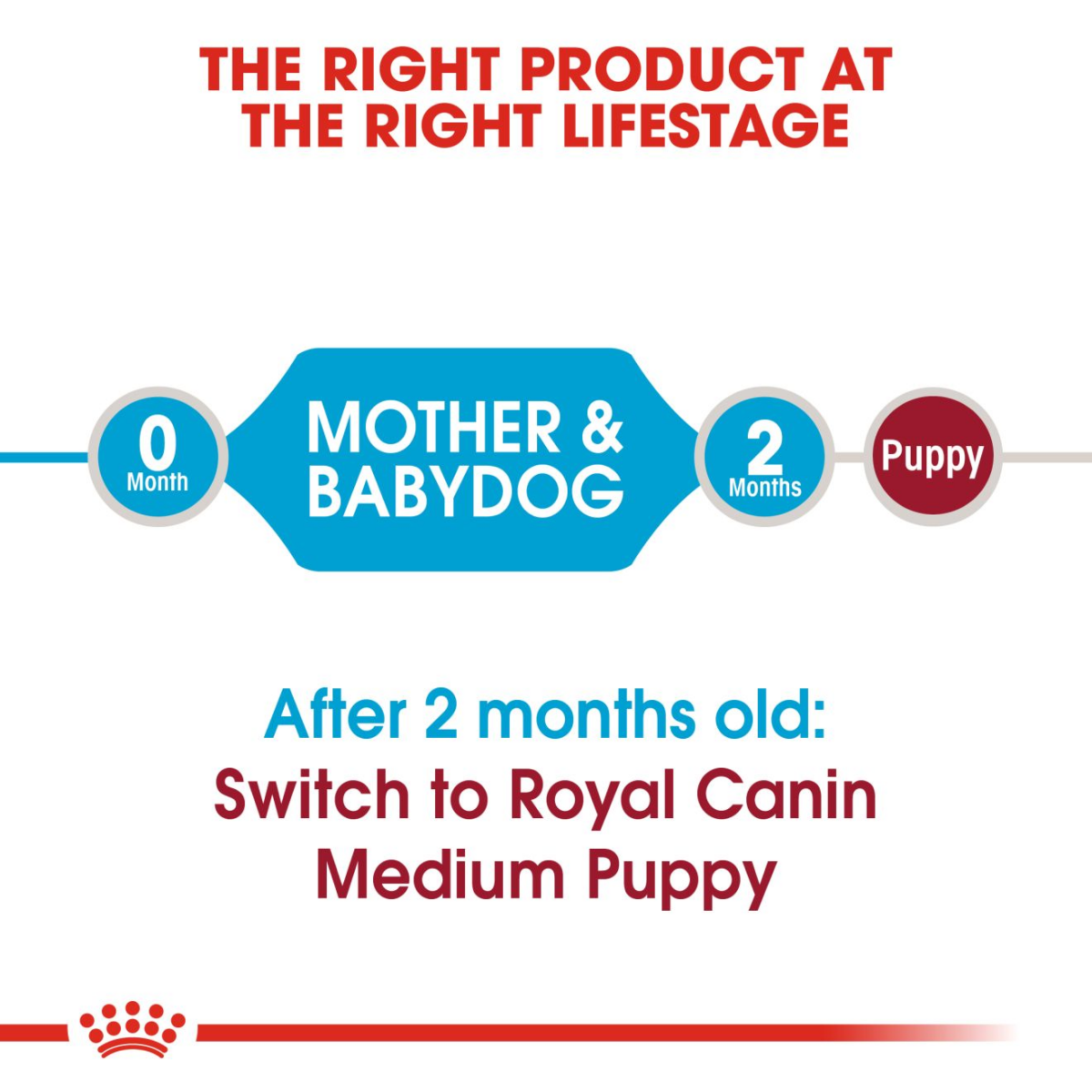 Royal Canin Medium Starter Dry Dog Food