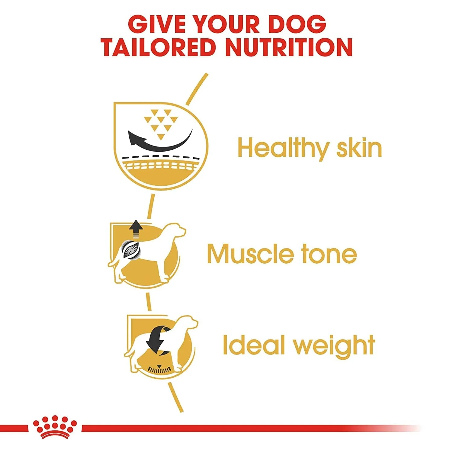 Royal Canin Pug Adult Dry Dog Food 4
