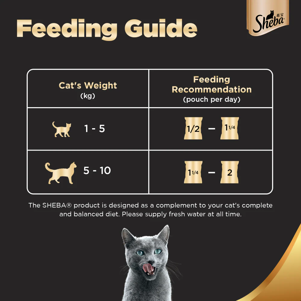 Sheba Premium Fish with Dry Bonito Flake Wet Cat Food 4