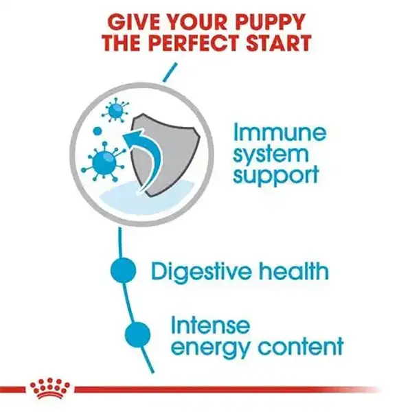 royal-canin-mini-puppy-wet-dog-food-85-gm-pack-of-12-3