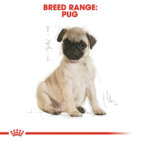royal-canin-pug-puppy-dry-dog-food-1.5-kg-7