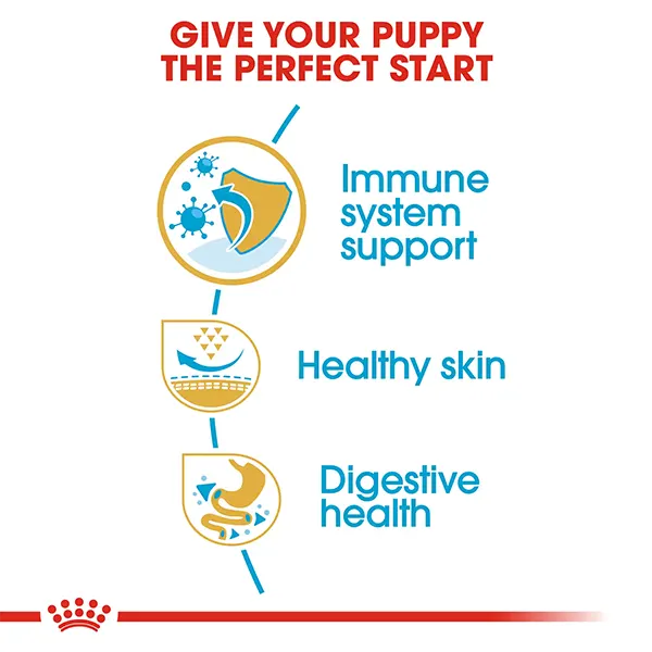 royal-canin-pug-puppy-dry-dog-food-1.5-kg-8