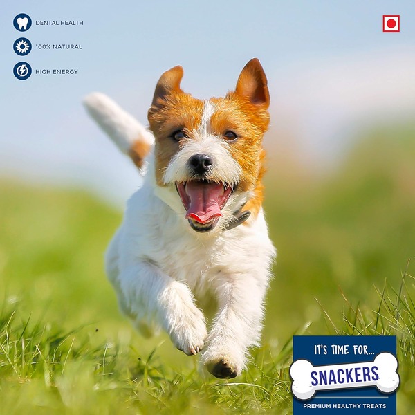 Snackers Dental Care Bone 70g Snackers Dental Care Bone 70g