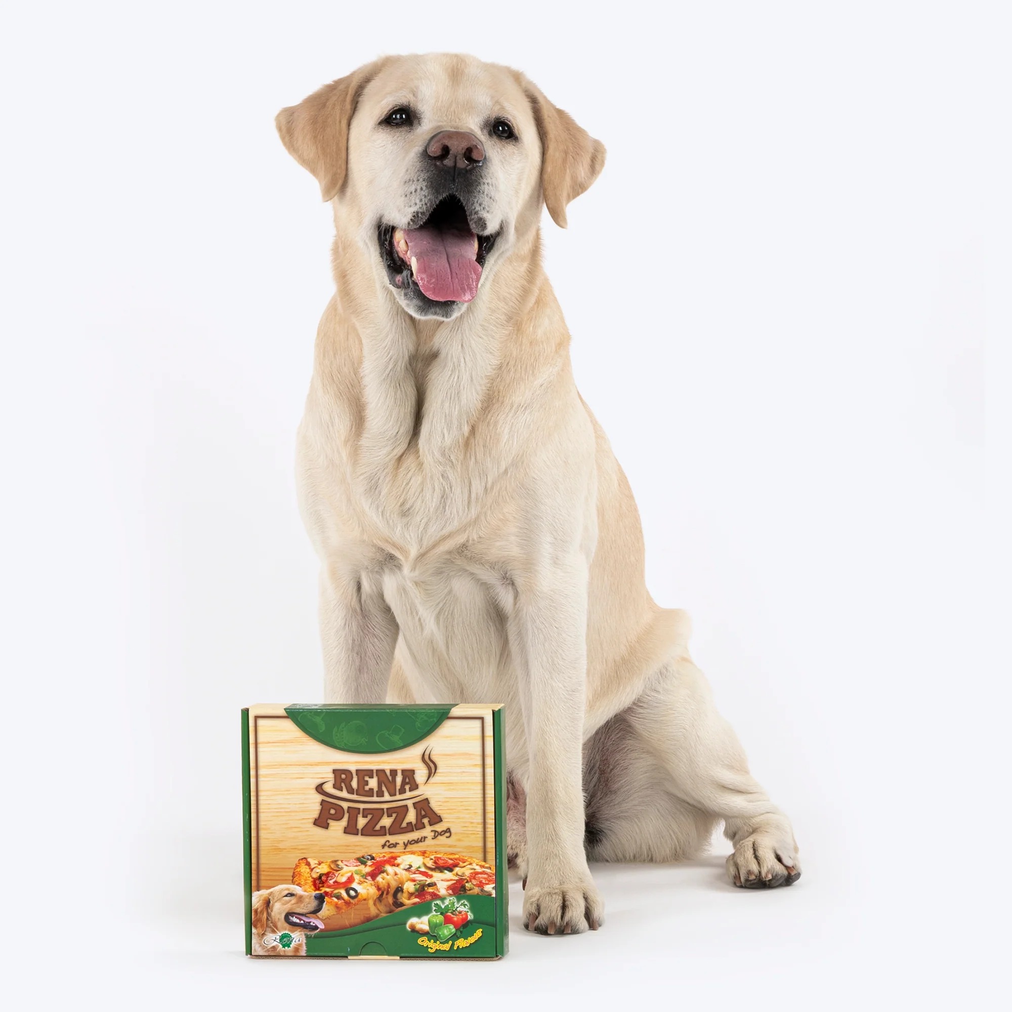 Rena Dog Pizza 2