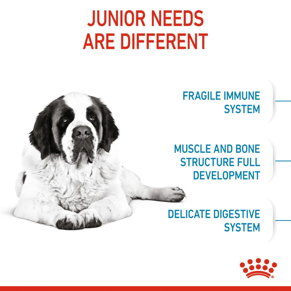 Royal Canin Giant Junior Dry Dog Food 5