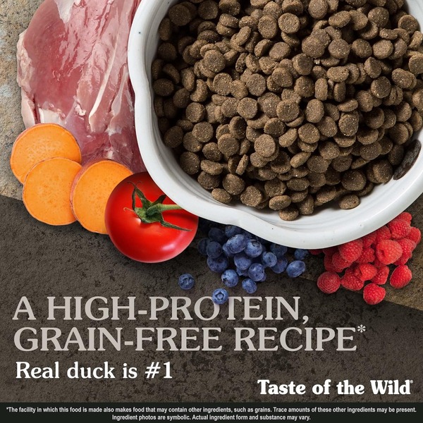 Taste of the Wild Wetlands Adult Dry Dog Food Taste of the Wild Wetlands Grain Free Adult Dry Dog Food
