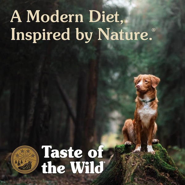 Taste of the Wild Wetlands Adult Dry Dog Food Taste of the Wild Wetlands Grain Free Adult Dry Dog Food