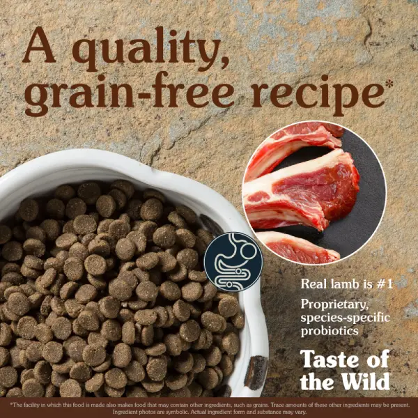 Taste of the Wild Sierra Adult Dry Dog Food Taste of the Wild Sierra Mountain Canine Recipe Grain Free Dry Dog Food Roasted Lamb