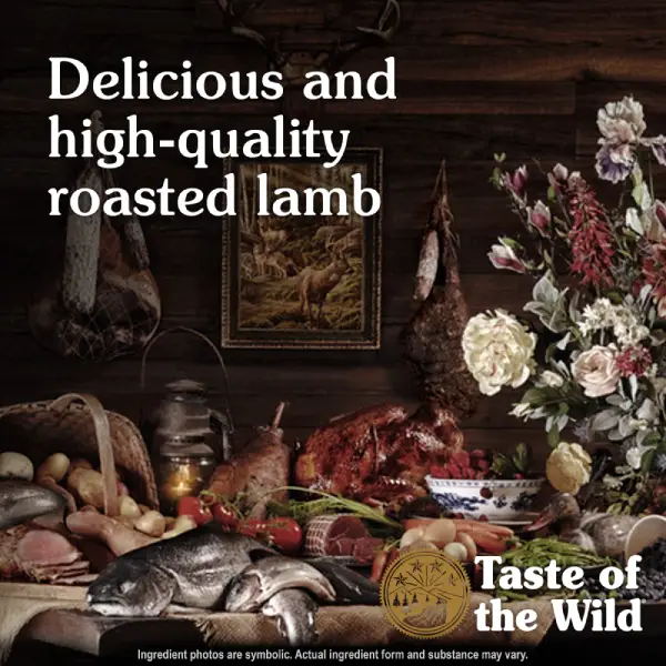 Taste of the Wild Sierra Adult Dry Dog Food Taste of the Wild Sierra Mountain Canine Recipe Grain Free Dry Dog Food Roasted Lamb