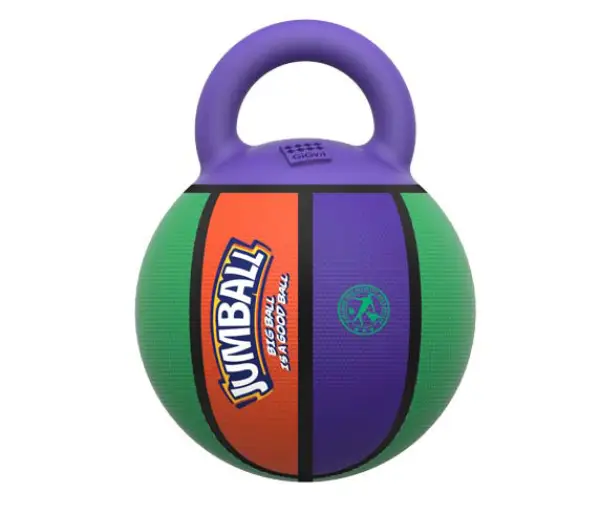 https://www.justdogsstore.com/wp-content/uploads/2022/12/GiGwi-Jumball-Basket-Ball-With-Rubber-Handle-Purple-Green-Orange.webp