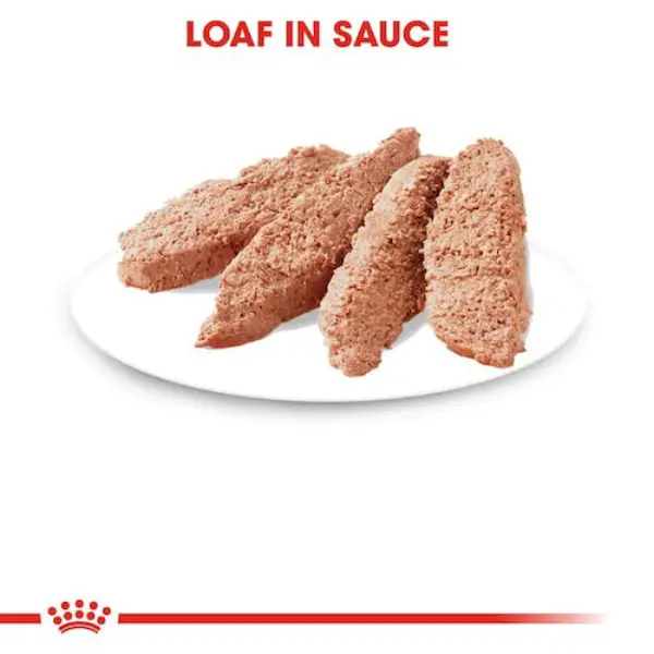 Royal Canin Instinctive Loaf Adult Wet Cat Food Royal Canin Instinctive Loaf Adult Wet Cat Food