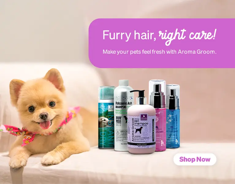 2_furry_hair_right_care-copy