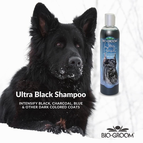 Bio-Groom Ultra Black Color Enhancer Shampoo Bio-Groom Ultra Black Color Enhancer Shampoo