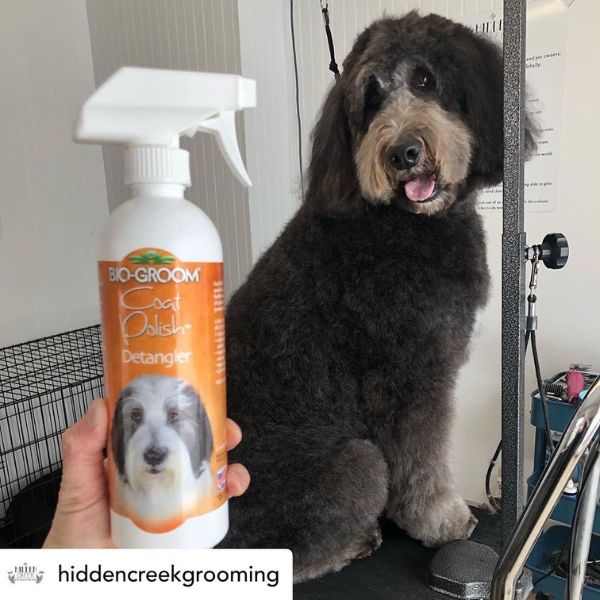 Bio-Groom Coat Polish Spray On-Glosser Bio-Groom Coat Polish Spray On-Glosser