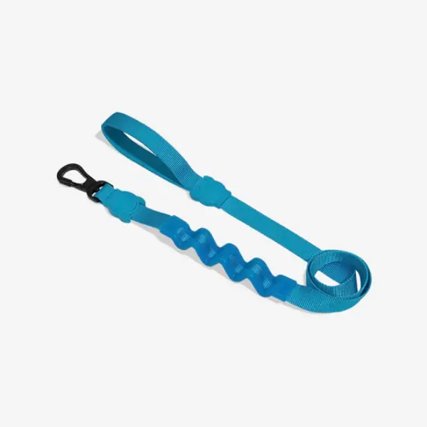 zee.dog Ultimate Blue Ruff Leash (1)