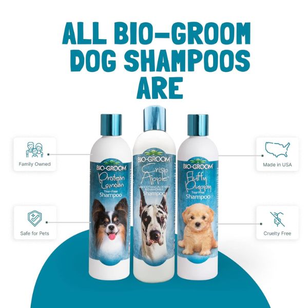 Crisp Apple Shampoo Crisp Apple Shampoo