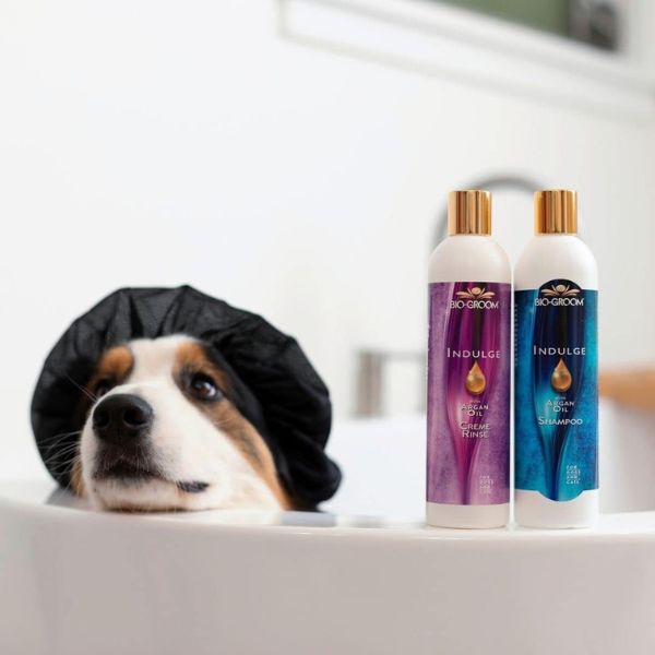 Indulge Argan Oil Spray Leave In Conditioner 355 Ml Indulge Argan Oil Spray Leave In Conditioner 355 Ml