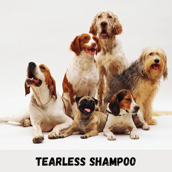 Crisp Apple Shampoo Crisp Apple Shampoo