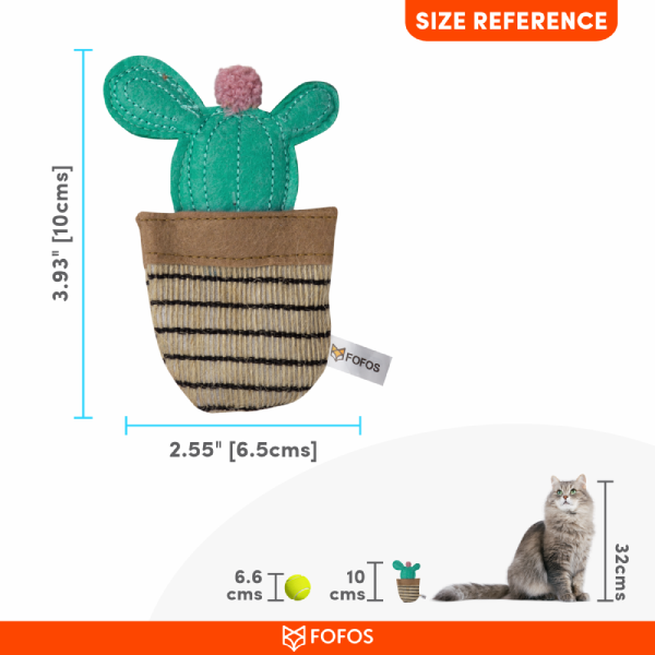 Image_3 (3)