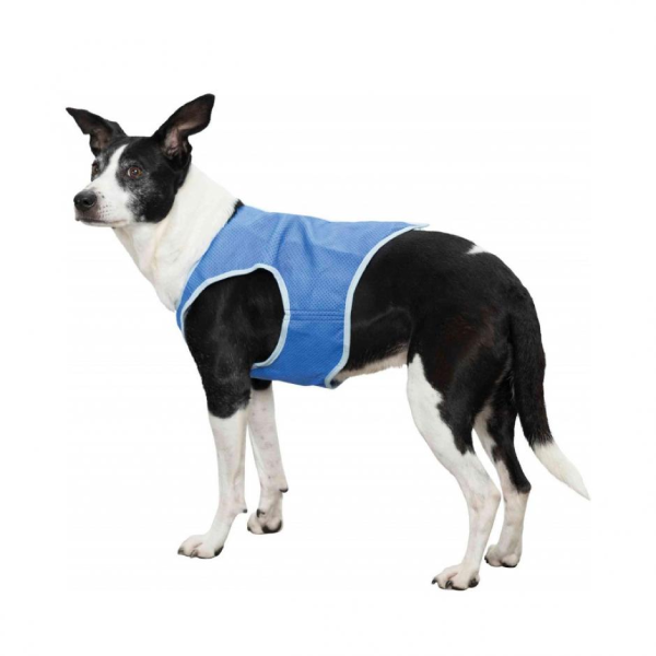 Trixie Cooling Vest for Dogs - JUSTDOGS