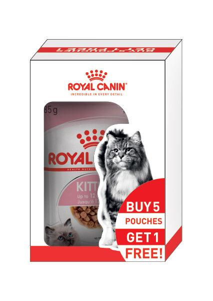 Royal Canin Salsa Gravy Wet Kitten Food