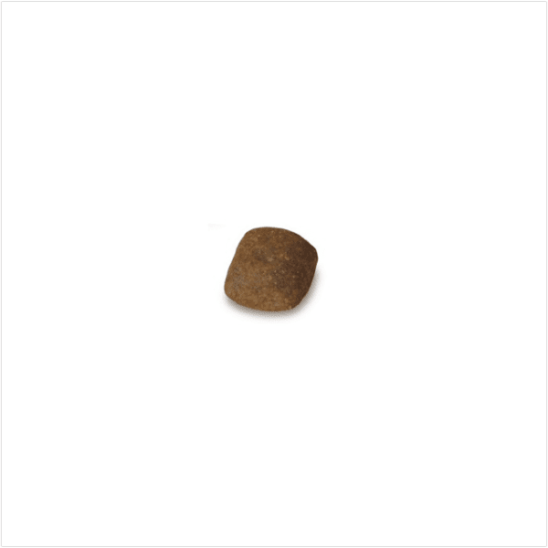 SmartHeart Gold Salmon and Rice Adult Puppy Dry Food SmartHeart Gold Salmon and Rice Adult Puppy Dry Food