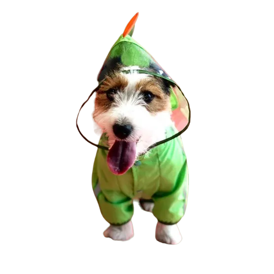 Screenshot-2023-07-08-122220-PhotoRoom.png-PhotoRoom