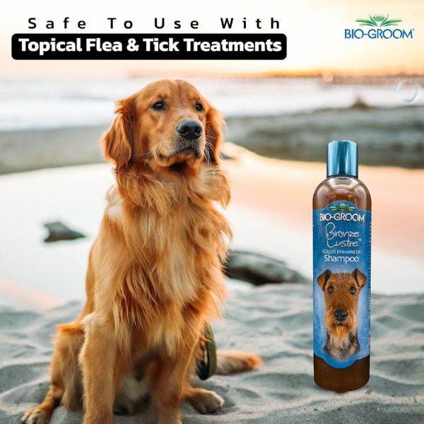 Bio-Groom Bronze Lustre Color Enhancer Dog Shampoo - 355 ml Bio-Groom Bronze Lustre Color Enhancer Dog Shampoo - 355 ml