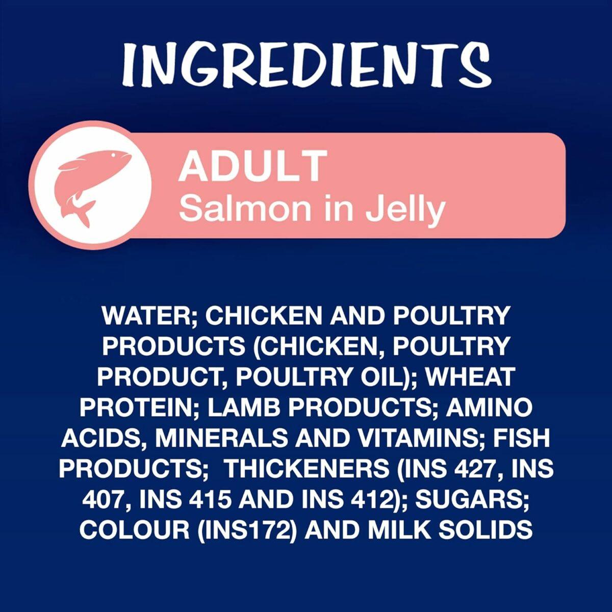 Purina Felix Salmon in Jelly Wet Cat Food