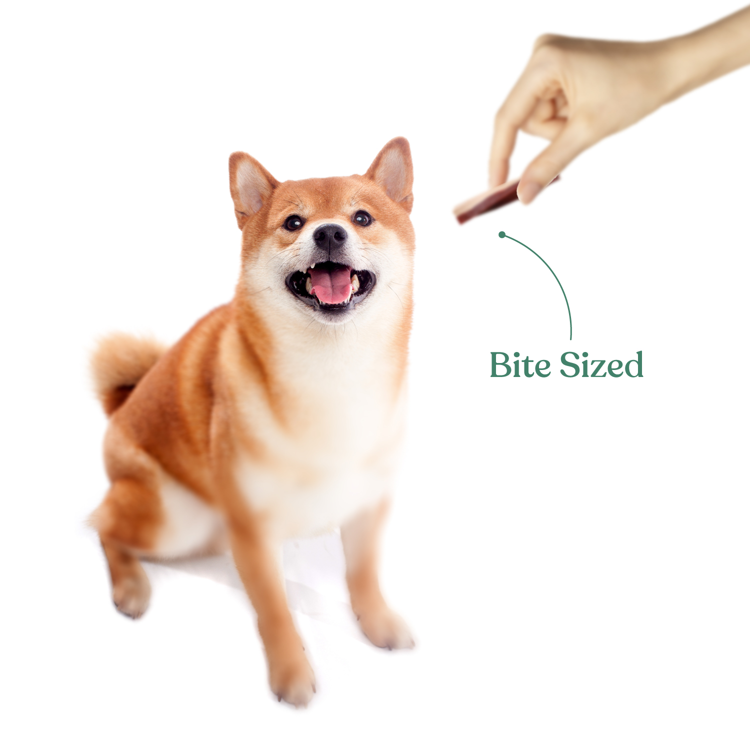 SNACKERS_jar-Treats_SKU-06