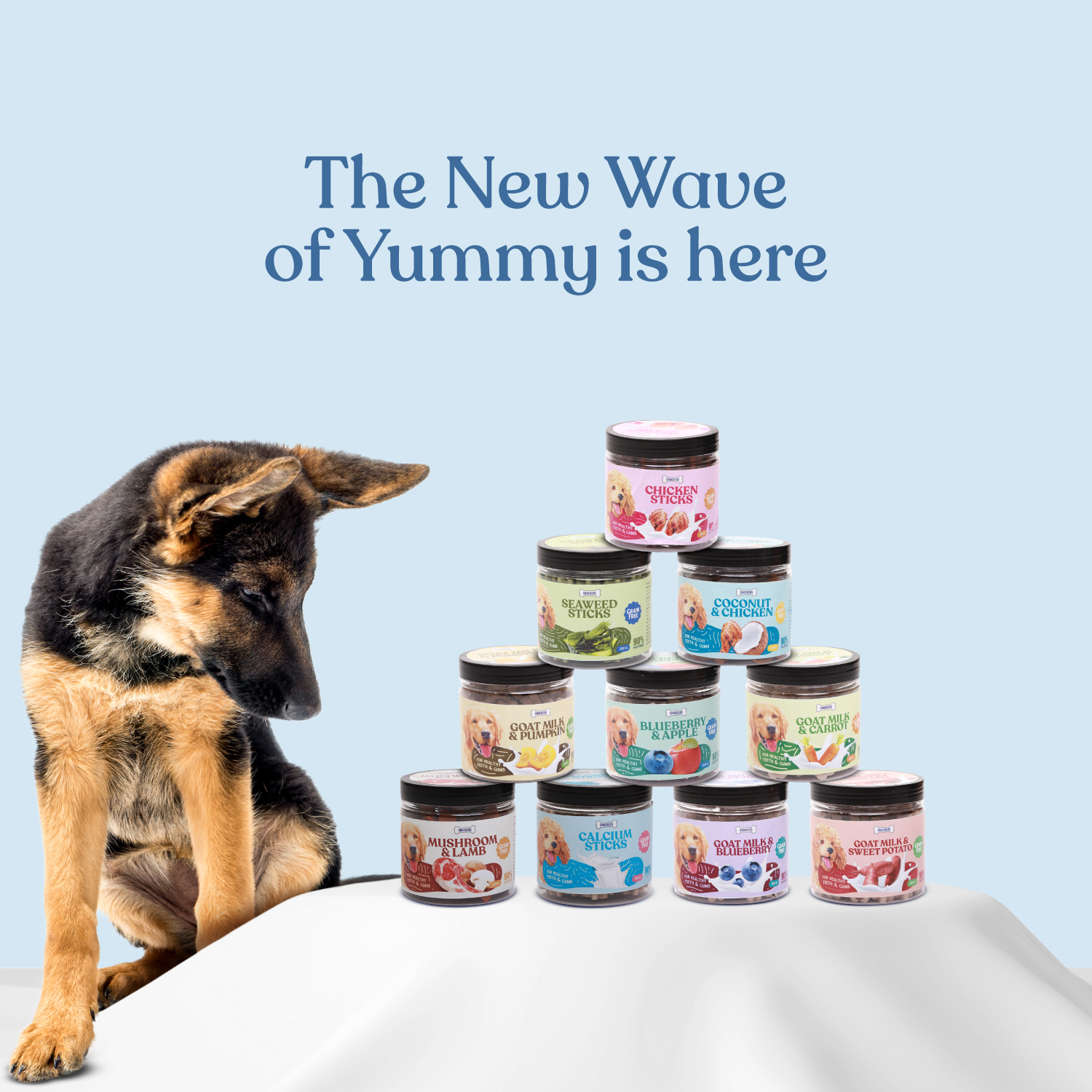 SNACKERS_jar-Treats_SKU-15