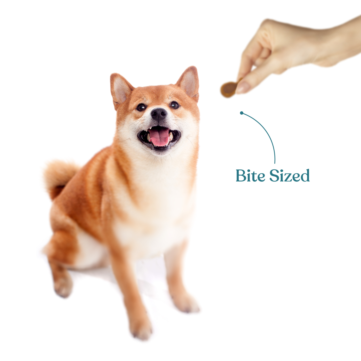 SNACKERS_jar-Treats_SKU-30