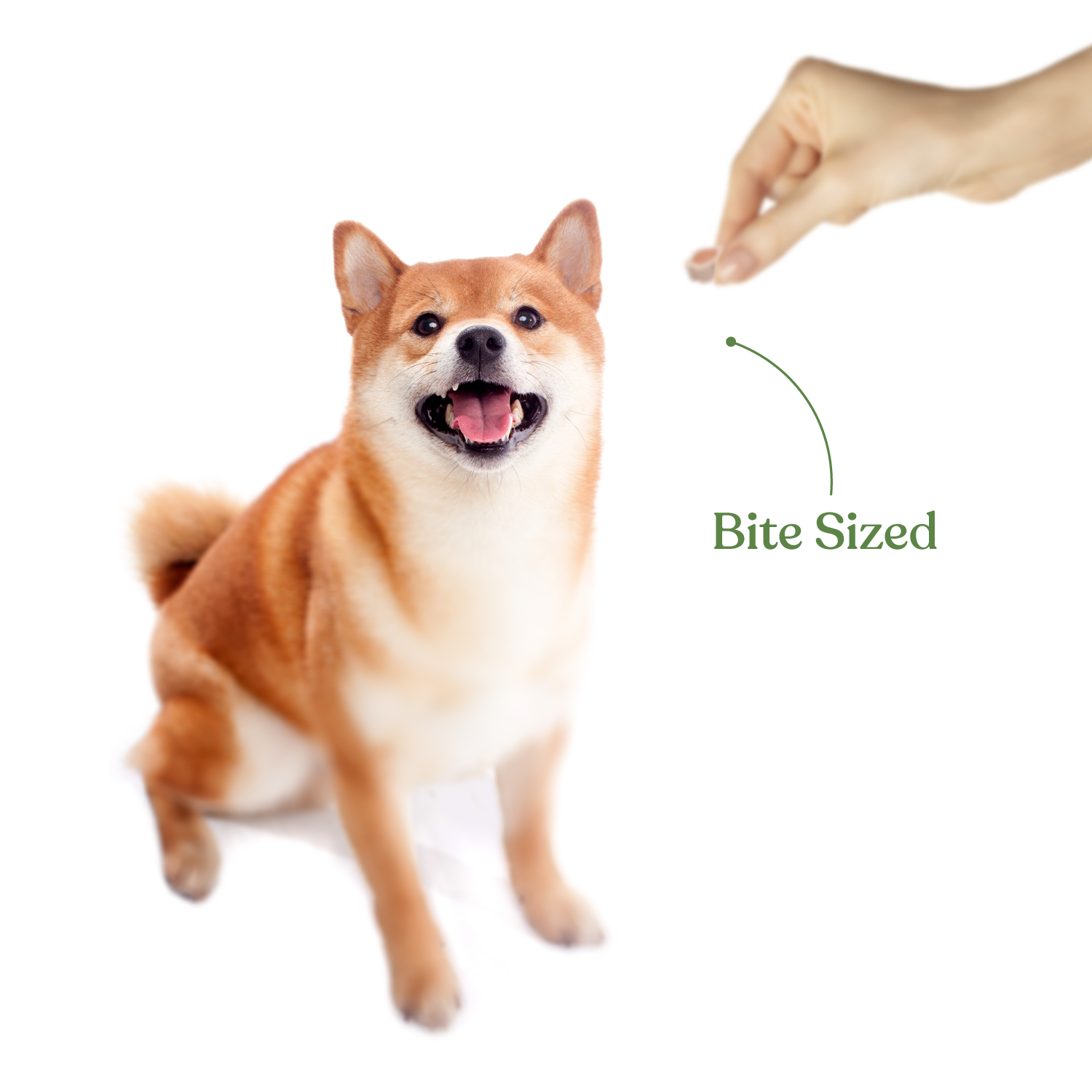 SNACKERS_jar-Treats_SKU-46