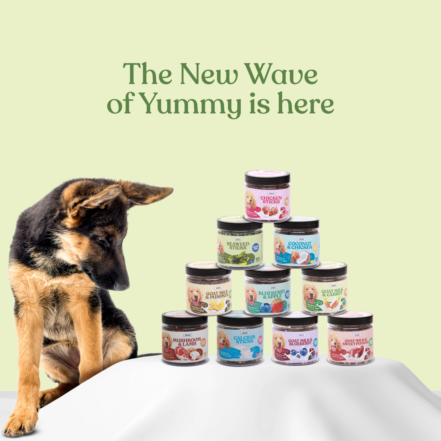 SNACKERS_jar-Treats_SKU-47
