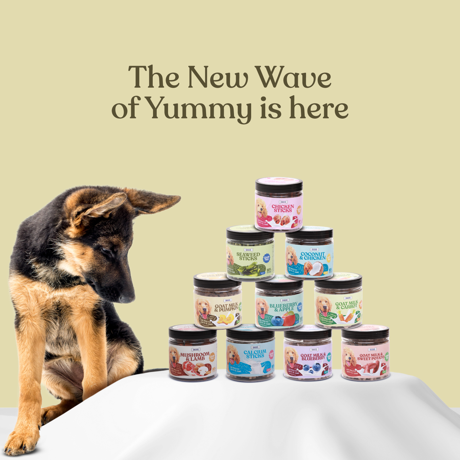 SNACKERS_jar-Treats_SKU-55