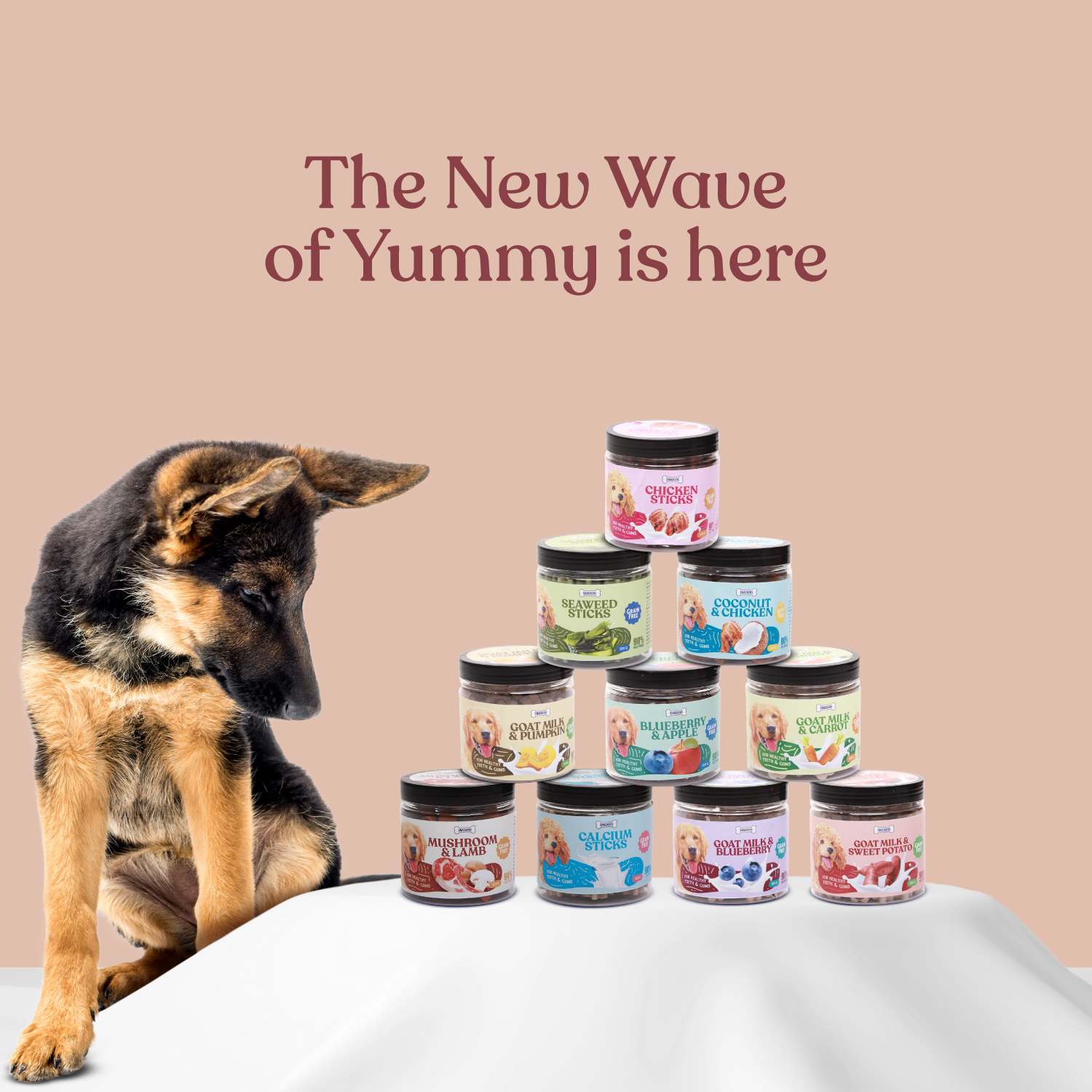 SNACKERS_jar-Treats_SKU-63