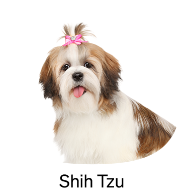 shop-by-breed_Shih-Tzu