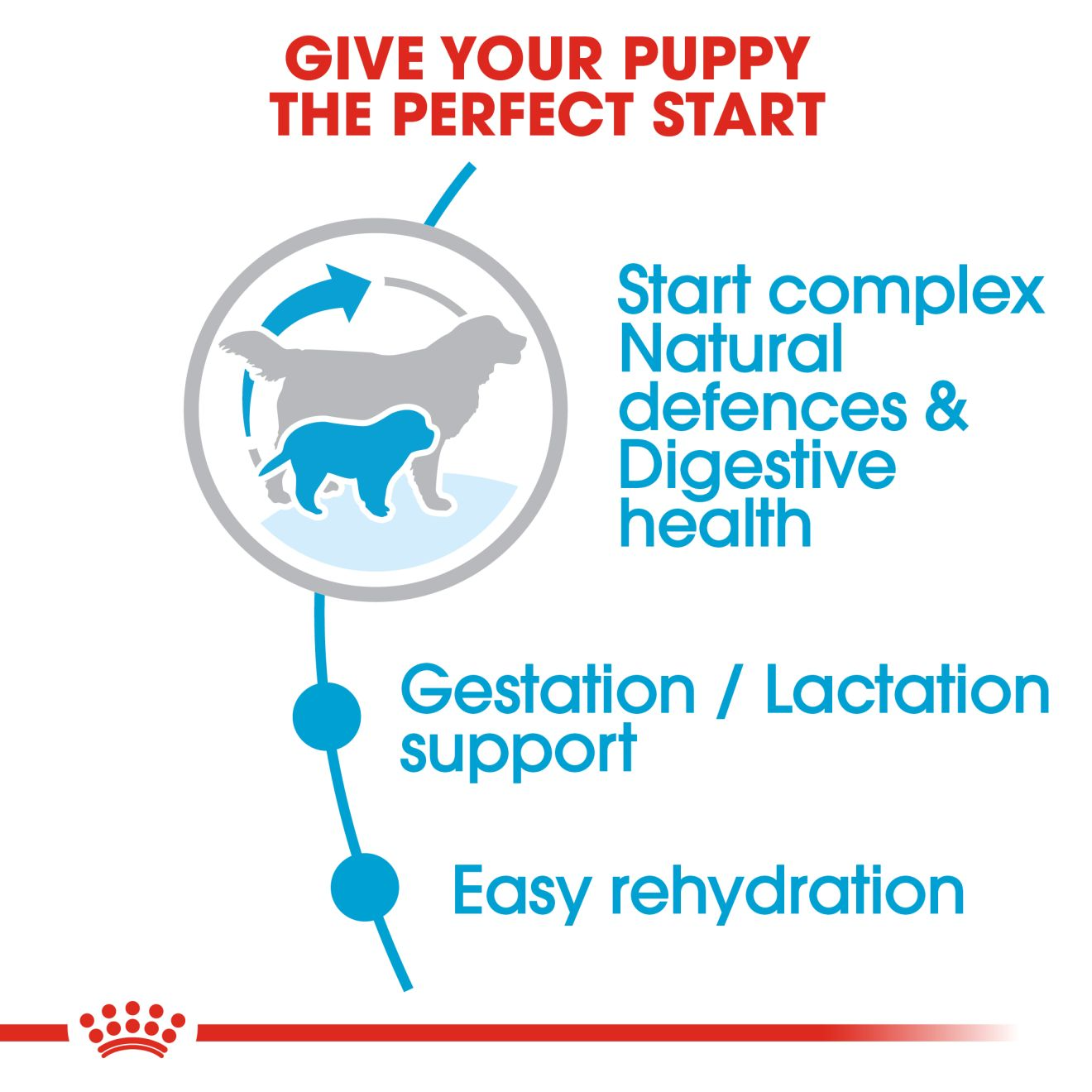 Royal Canin Giant Starter Dry Dog Food Royal Canin Giant Starter Dry Dog Food