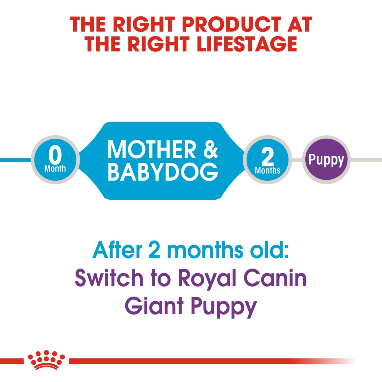 Royal Canin Giant Starter Dry Dog Food Royal Canin Giant Starter Dry Dog Food