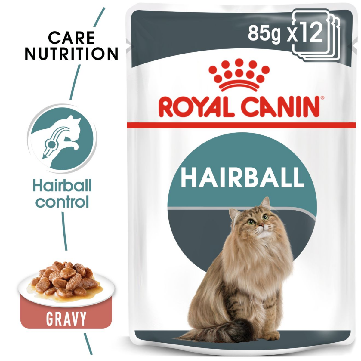 Royal Canin Hairball Wet Cat Food