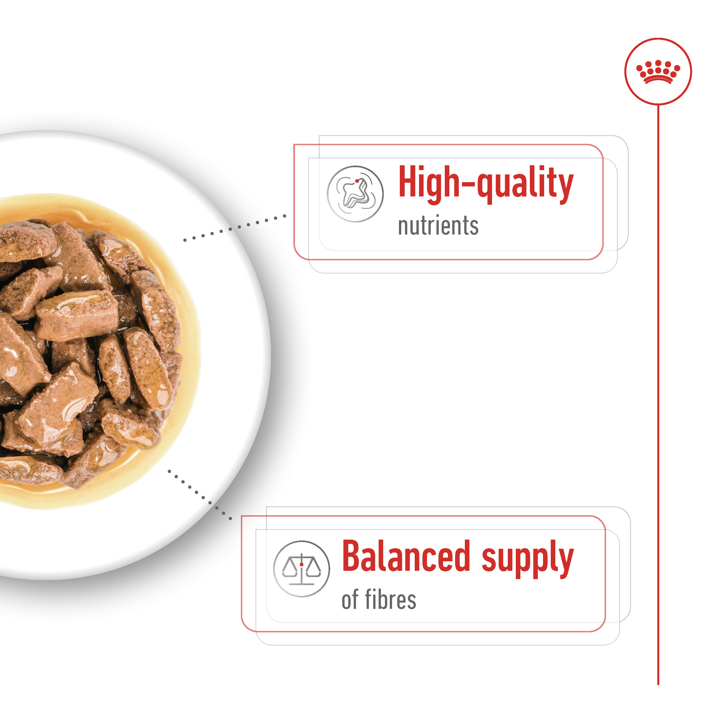 Royal Canin Maxi Adult Wet Dog Food Royal Canin Maxi Adult Wet Dog Food