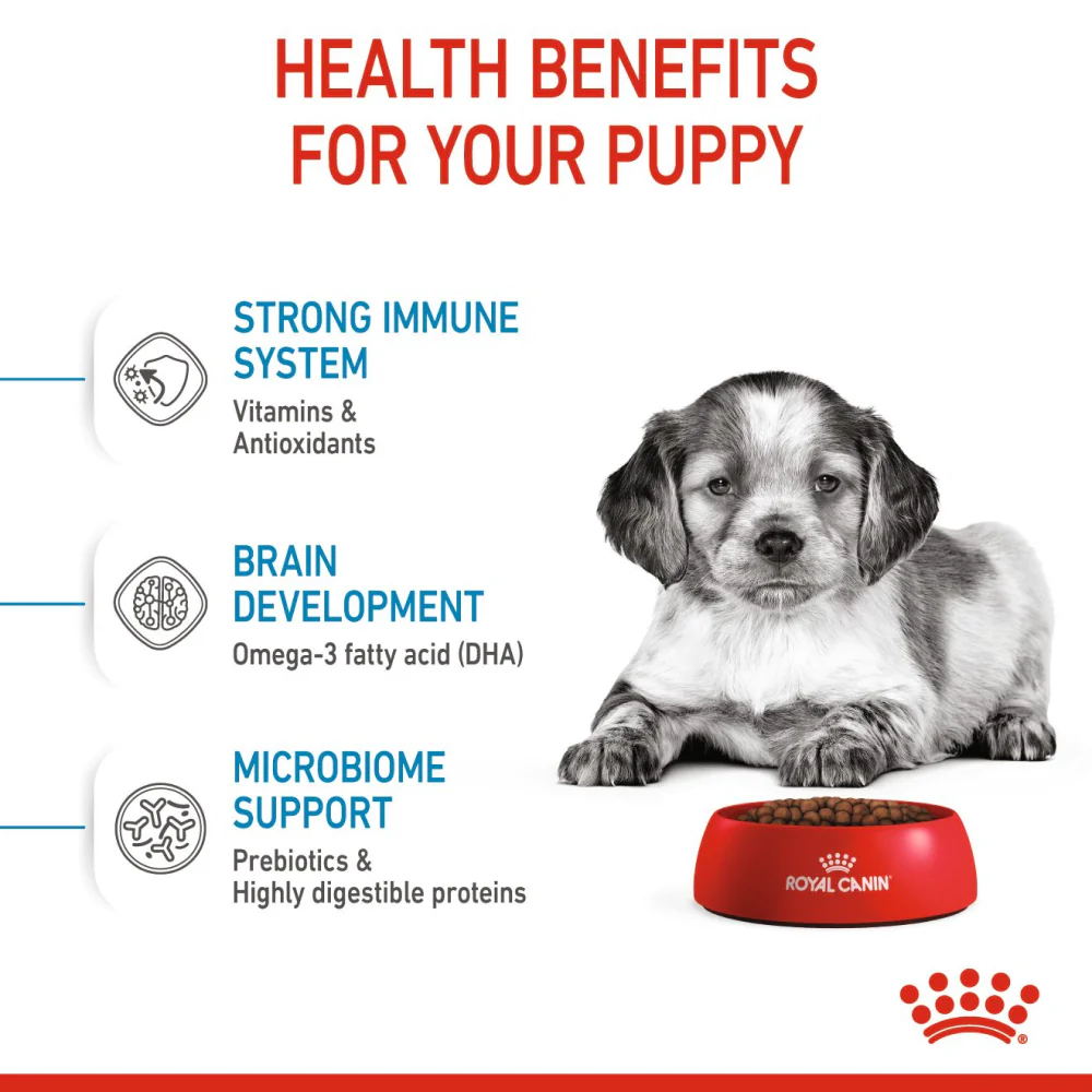 Royal Canin Medium Puppy Dry Dog Food 4