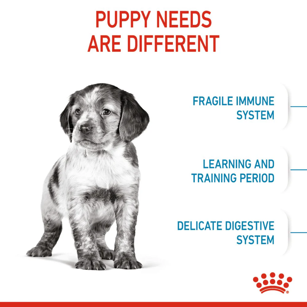 Royal Canin Medium Puppy Dry Dog Food 5