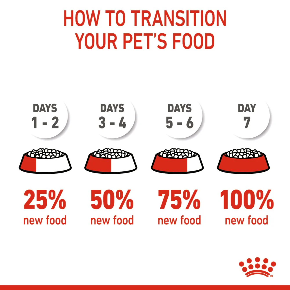 Royal Canin Medium Puppy Dry Dog Food 6