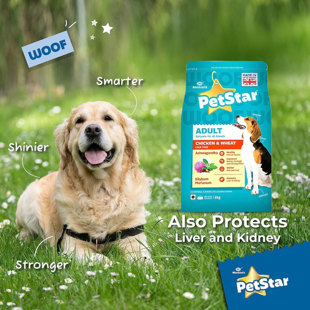 Petstar Chicken and Wheat Adult Dog Dry Food Petstar Chicken and Wheat Adult Dog Dry Food