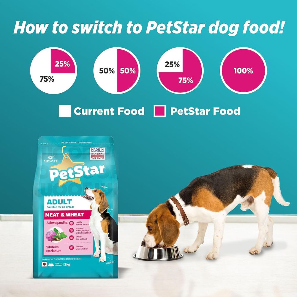 Petstar Chicken and Wheat Adult Dog Dry Food Petstar Chicken and Wheat Adult Dog Dry Food