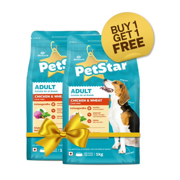 Petstar Chicken and Wheat Adult Dog Dry Food